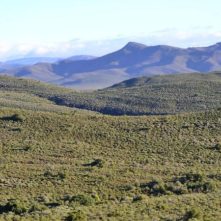 Mont Eco Game Reserve 蒙塔古 外观 照片