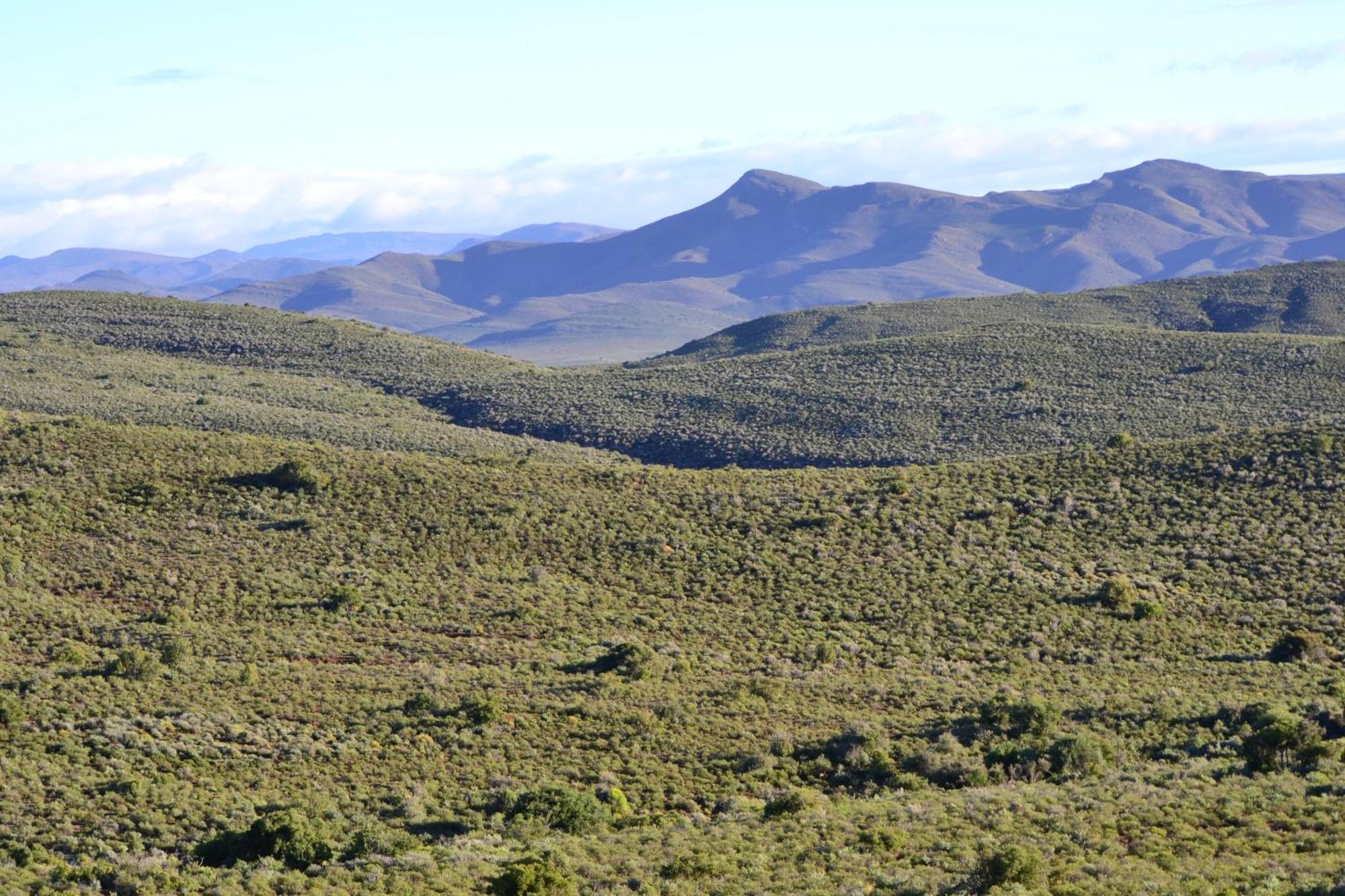 Mont Eco Game Reserve 蒙塔古 外观 照片